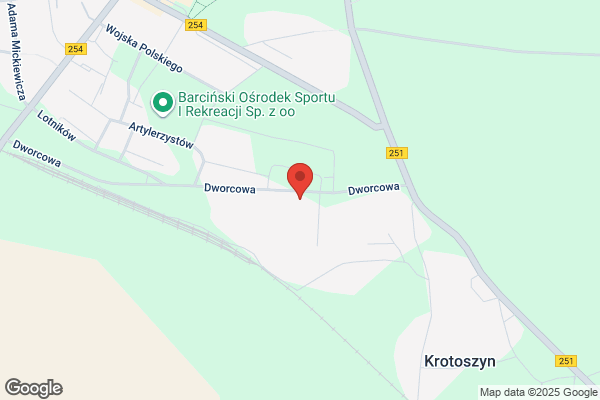 Pietruszewski Dawid. Przedsiebiorstwo handlowo - uslugowe