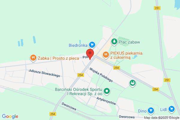 Polski Koncern Naftowy Orlen SA. Stacja paliw