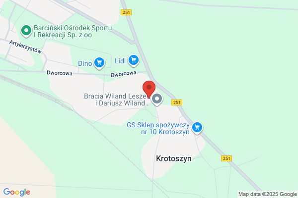 Zielinski Dariusz. FHU. Sprzedaz samochodów uzywanych