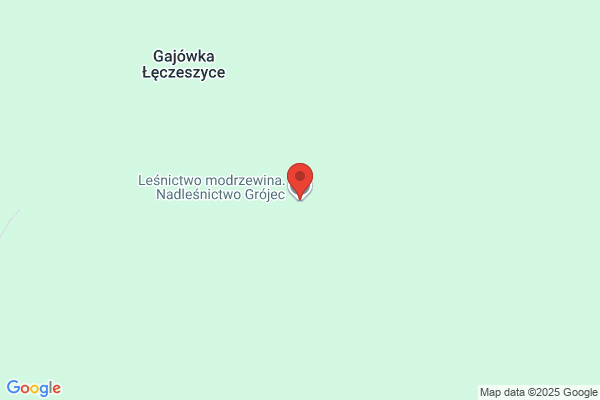 Lesnictwo Modrzewina. Nadlesnictwo Grójec