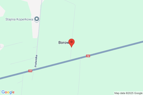Podlesniczówka. Lesnictwo Borowiny. Nadlesnictwo Belchatów