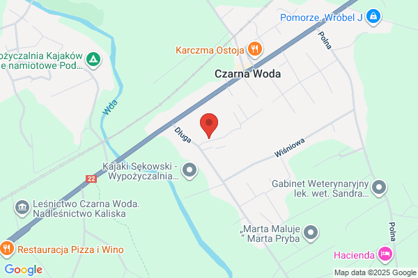 Czarna Róza. Zaklad pogrzebowy