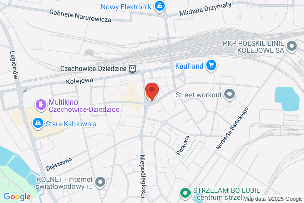 Ice-Net. Oprogramowanie dla firm, ho