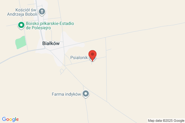 Psi Salon. Komarnicka A.