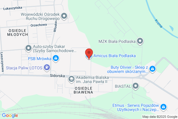 Amicus. Bejce, lakiery do drewna, mieszalnia farb
