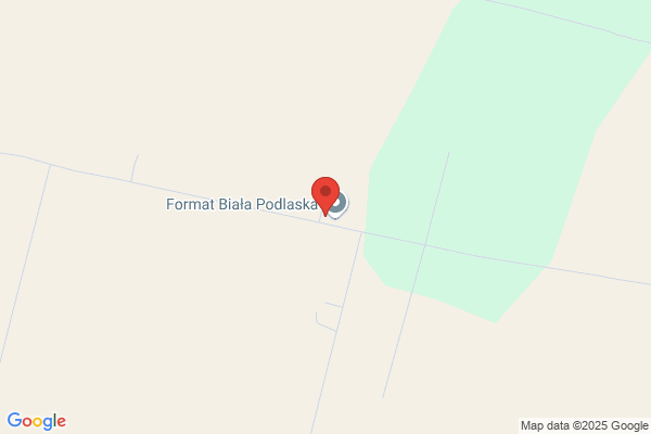 Format. Projektowanie i wykonawstwo mebli na zamówienie