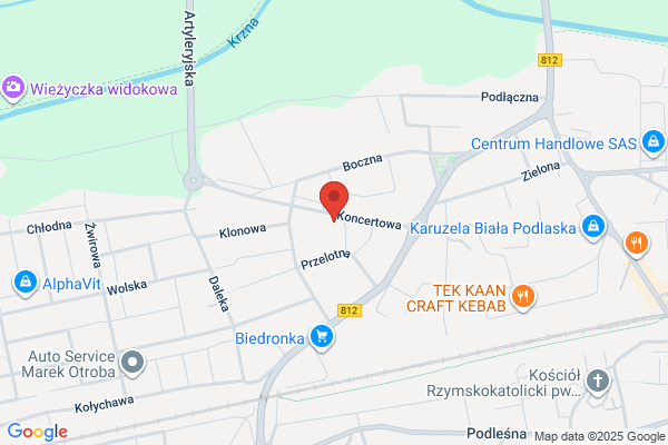 Marczuk Ryszard. Uslugi dzwigowe