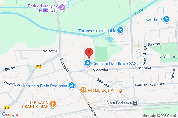 Saris. Dywany, chodniki. Klepacka M.