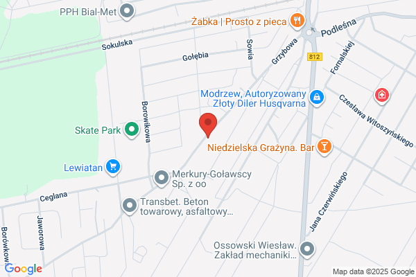 Wasyluk Halina. Biuro rachunkowe