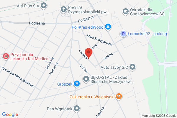Mikolajuk Kazimierz. Mechanika i blacharstwo pojazdowe