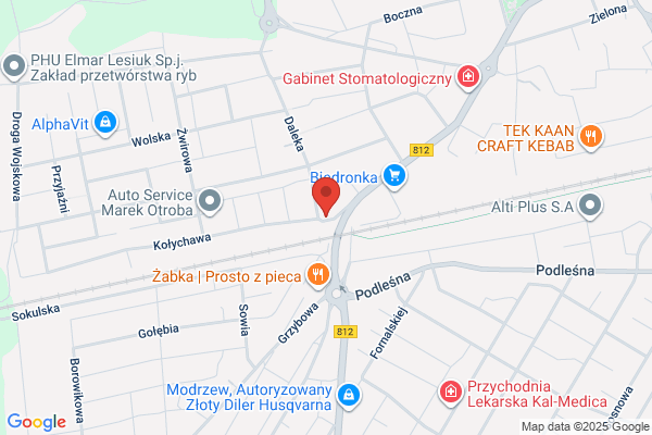 Sobieski Miroslaw. Blacharstwo i lakiernictwo samochodowe