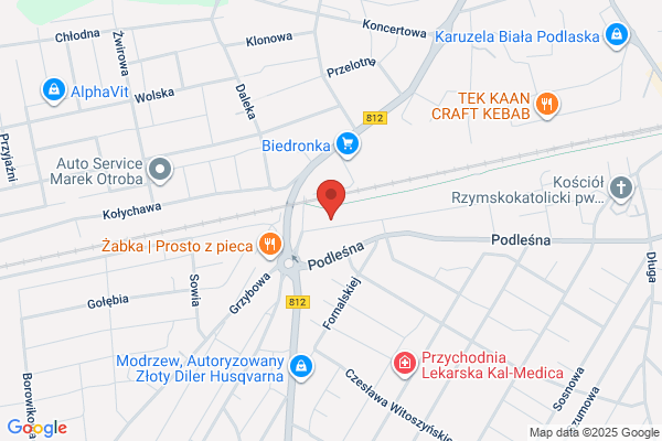 Bosch Service. Diagnostyka samochodowa. Izdebski A.