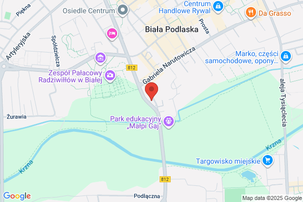 Polski Koncern Naftowy Orlen SA. Stacja paliw