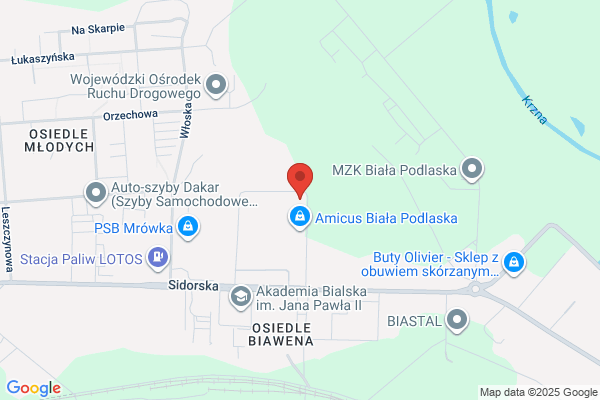 Borowik Ryszard. Zaklad slusarski, bramy, ogrodzenia
