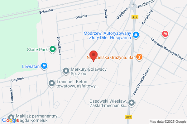 Furmanek Marian. Krajowy przewóz towarów