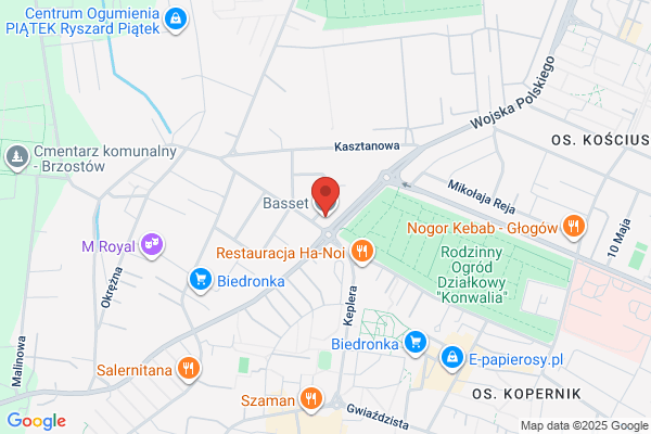 Basset. Przychodnia weterynaryjna. Kolomyjec K., dr nauk wet.