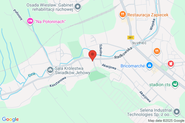 Bratek. Kwiaciarnia. Milczarek A.