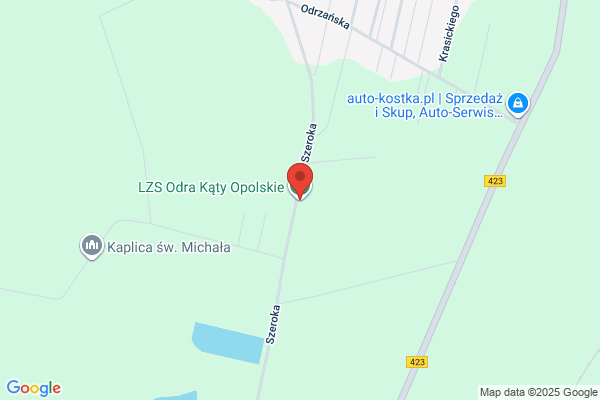 Odra Leszkowice. Ludowy Zespól Sportowy