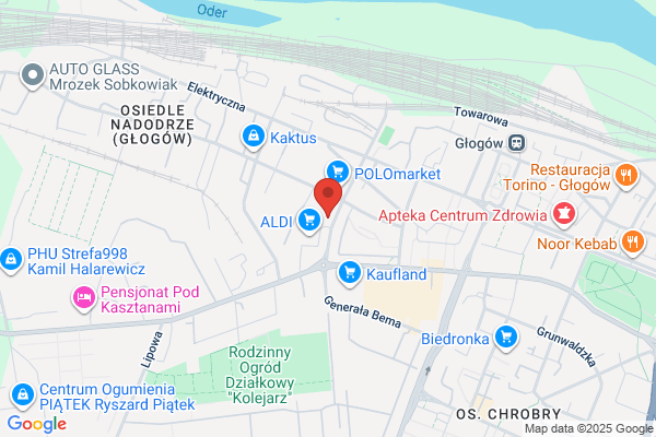 Pegaz. Uslugi transportowe krajowe i zagraniczne. Rychel W.
