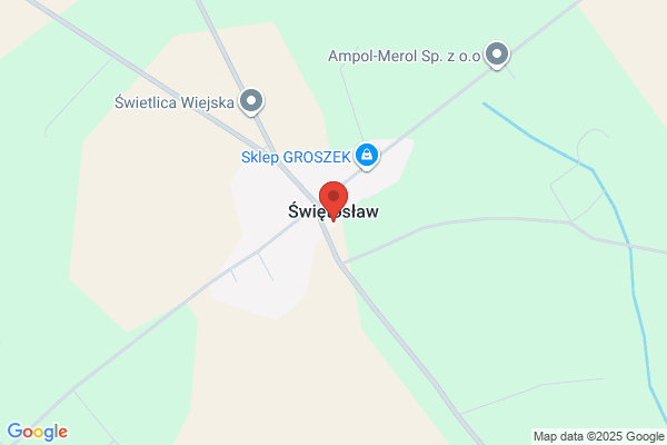 Grzeslo Stanislaw. Uslugi transportowe