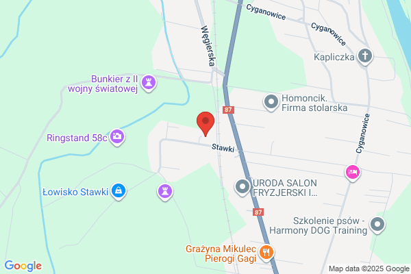 Jurecki Krzysztof. Uslugi transportowe