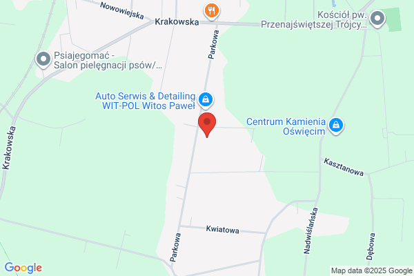 Jurecki Ludwik. Uslugi transportowe