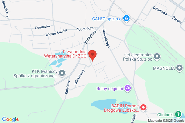 Przedsiebiorstwo Handlu Spozywczego. Sp. z o.o. Hurtownia