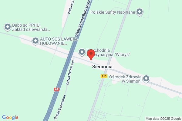 Heh SC. Przetwórstwo miesne