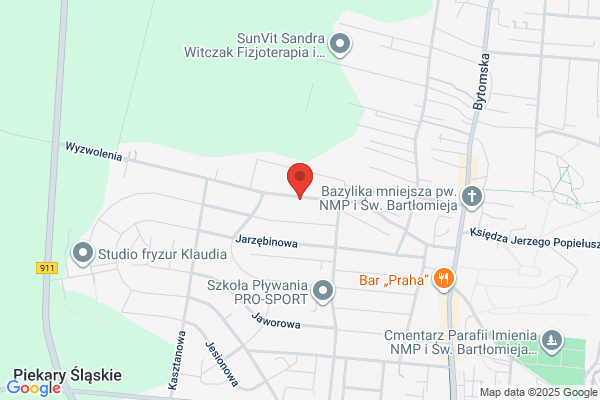 Samex. Uslugi sprzetem budowlanym, koparkoladowarki