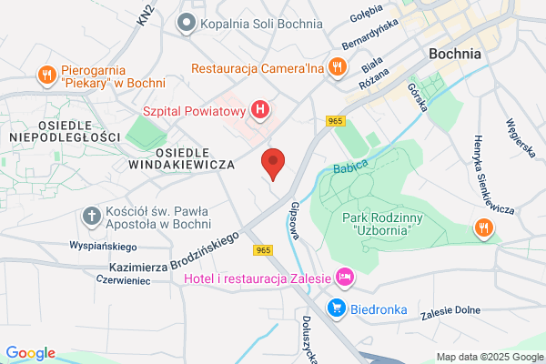 Rakoczy Jan. Nauka jazdy