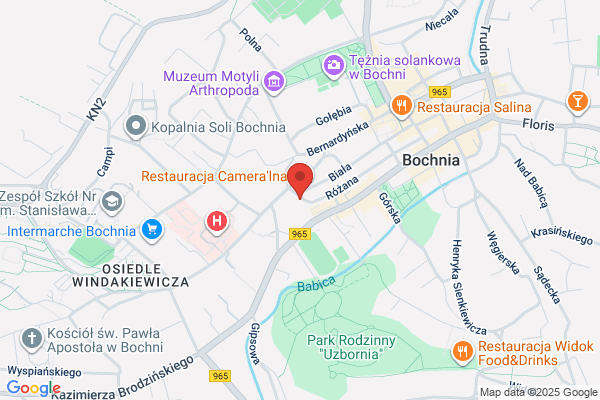 Liwimo. Pizzeria. Mozdzen L.