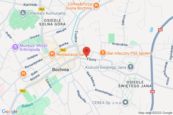 Cichon Aneta. Tlumacz przysiegly jez. niemieckiego