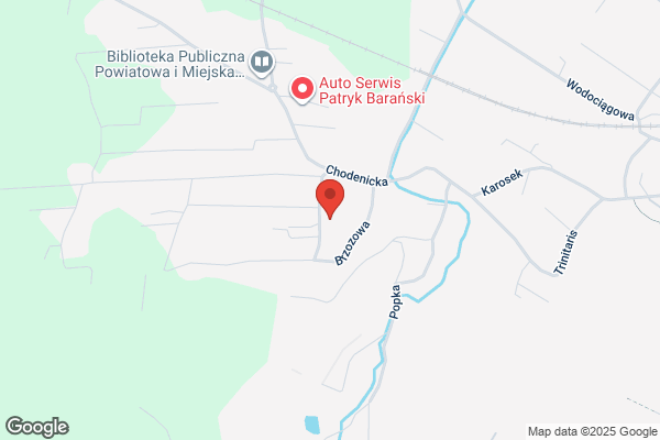 Struzik Jaroslaw. Uslugi transportowe