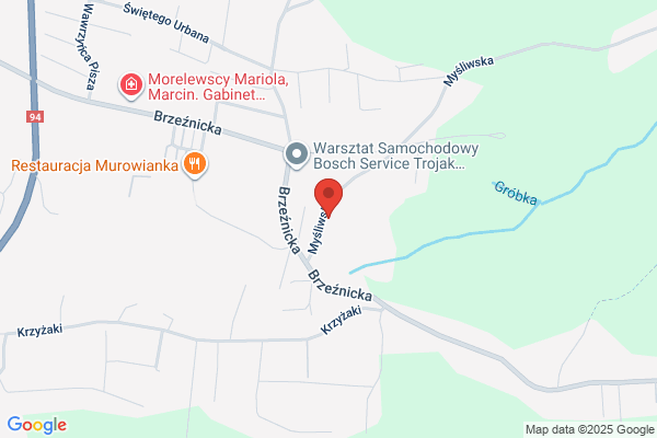 Damski M. Gabinet weterynaryjny