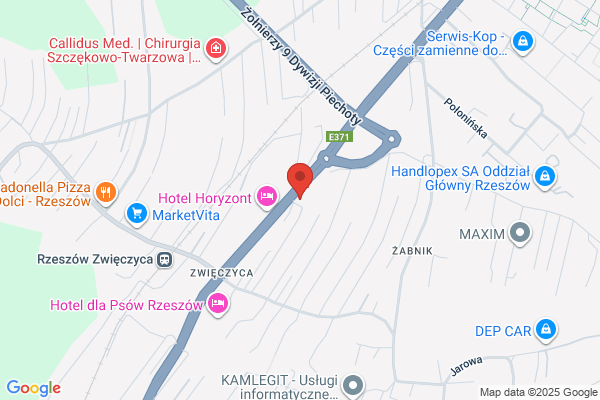 Cyprys. Sklep ogrodniczy. Sondej G.