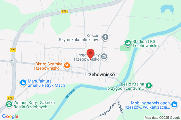 Sanecki Adam. Uslugi geodezyjne