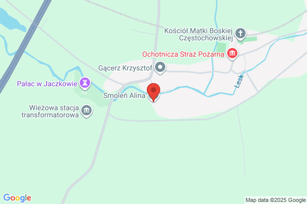 Smolen Alina. Miedzynarodowy i krajowy transport ciezarowy