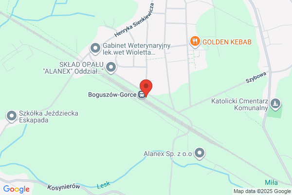 Walbrzyskie Przedsiebiorstwo Wodociagów i Kanalizacji. Sp. z o.o. Siec wodociagowa