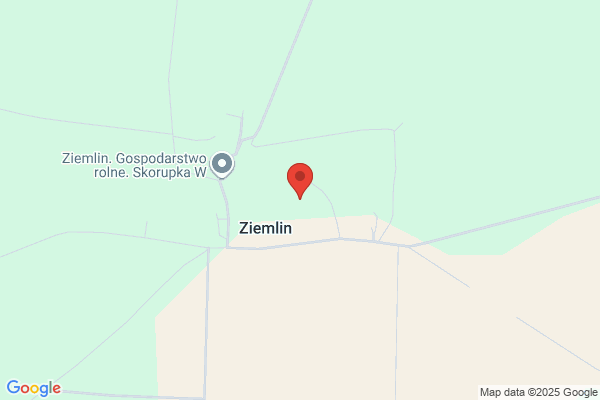 Gembiak M. Przedsiebiorstwo transportowe