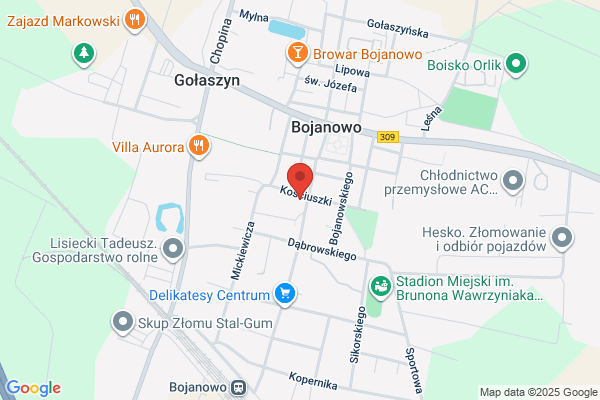Kaczmarek Grazyna, agent ubezpieczeniowy HDI Asekuracja Towarzystwo Ubezpieczen SA