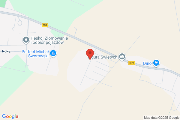 Wawrzyniak Sebastian. Autoczesci