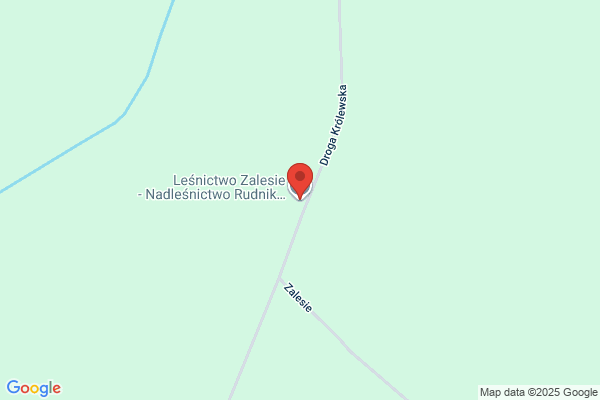 Lesnictwo Zalesie. Nadlesnictwo Rudnik