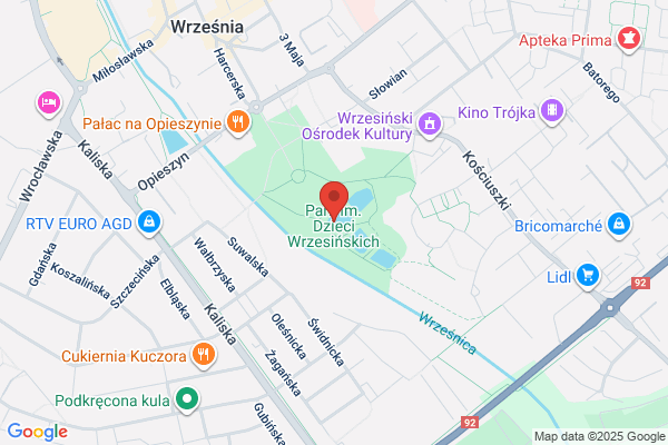 Park. Pracownia dokumentacji i projektowania zieleni. Opinie dendrologiczne. Parki zabytkowe