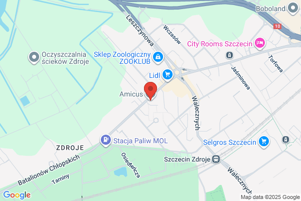 Amicus. Lecznica dla zwierzat