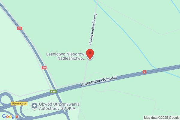 Lesnictwo Nieborów. Nadlesnictwo Skierniewice
