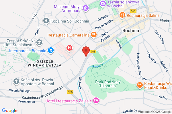 Igla Barbara. Biuro rachunkowe