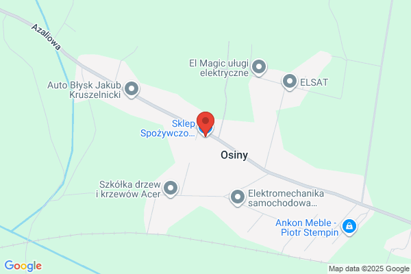 Janiak Regina. Sklep spozywczy