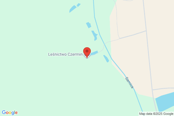 Lesnictwo Czermin. Nadlesnictwo Syców