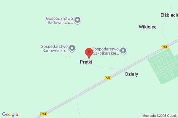Gursztyn Lucjan, mgr inz. Szkólka drzew i krzewów ozdobnych