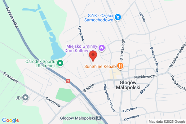 Dentar. Protetyka, chirurgia, implantologia. Maksymowicz A.R.
